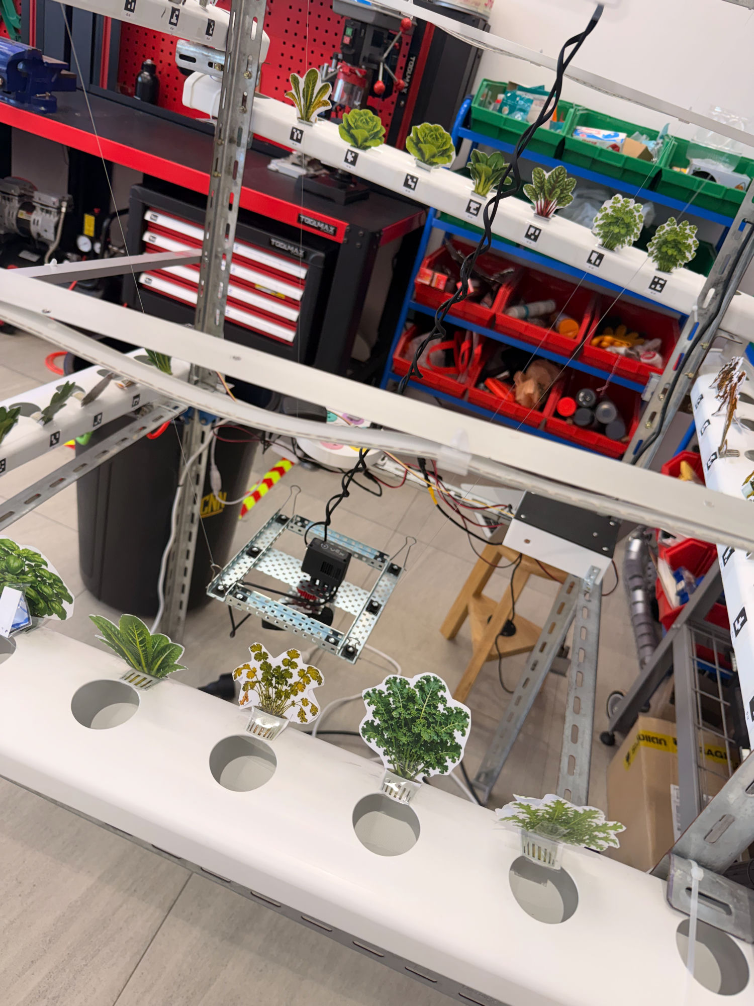 AI-Powered Hydroponics Robot, Teaching the AI with paper plants